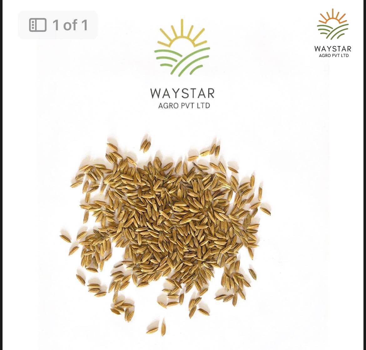 Paddy rice (red organic rice) 
By Waystar agro pvt ltd