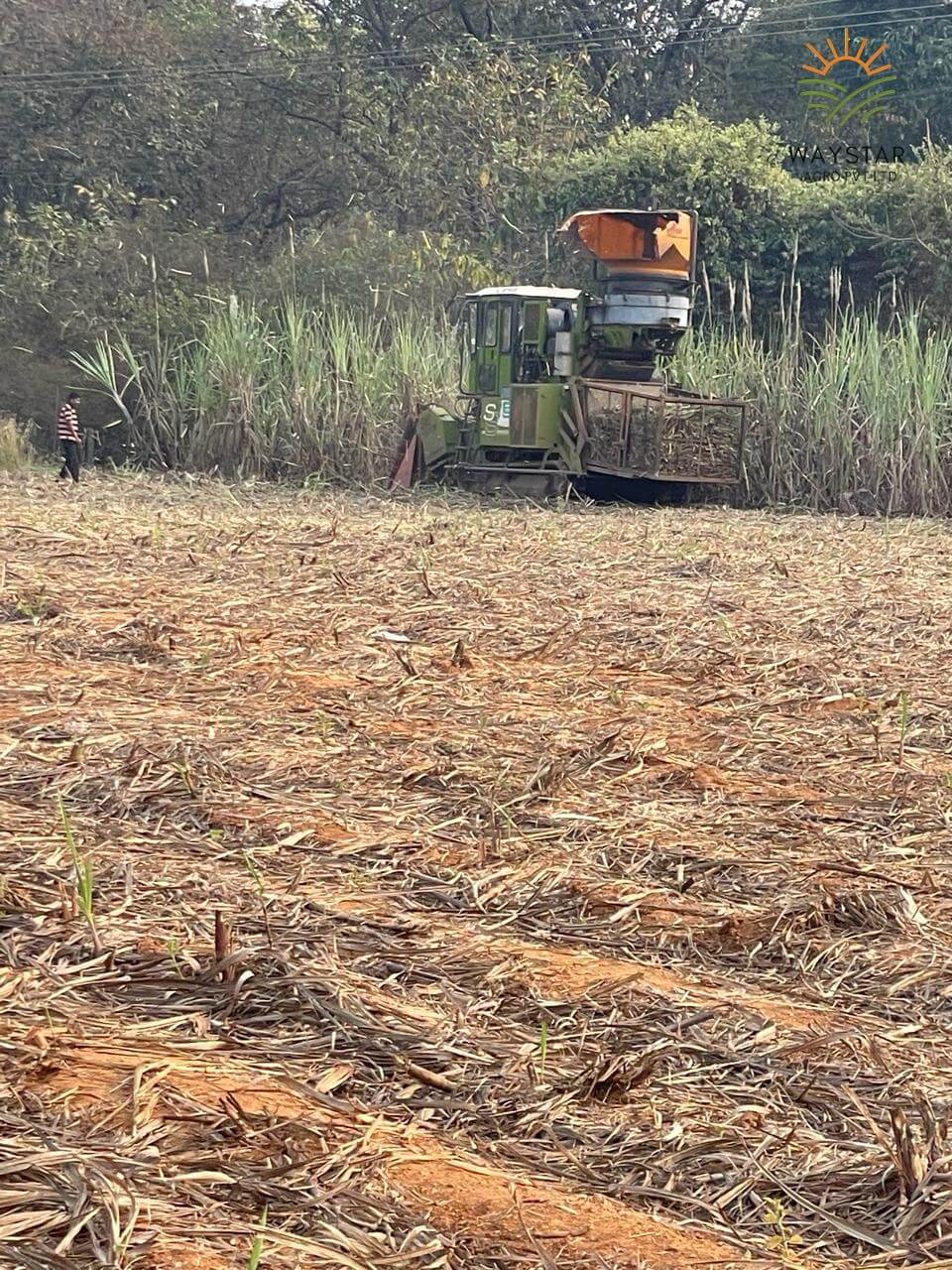 Using of Hitech machinery promoting optimized cultivation
By Waystar Agro Pvt Ltd