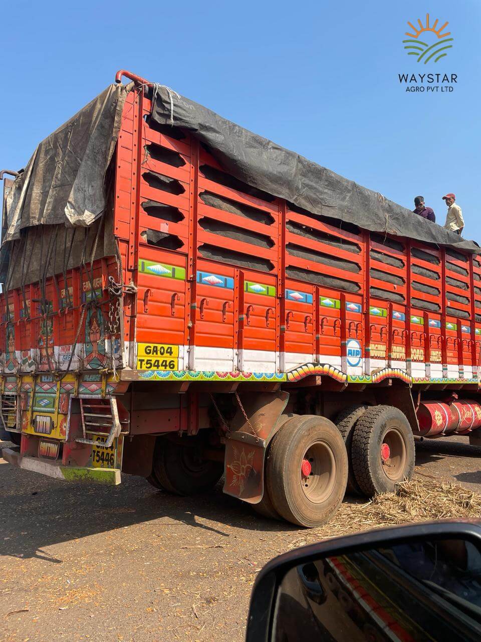 Waystar Agro Rice Fields
